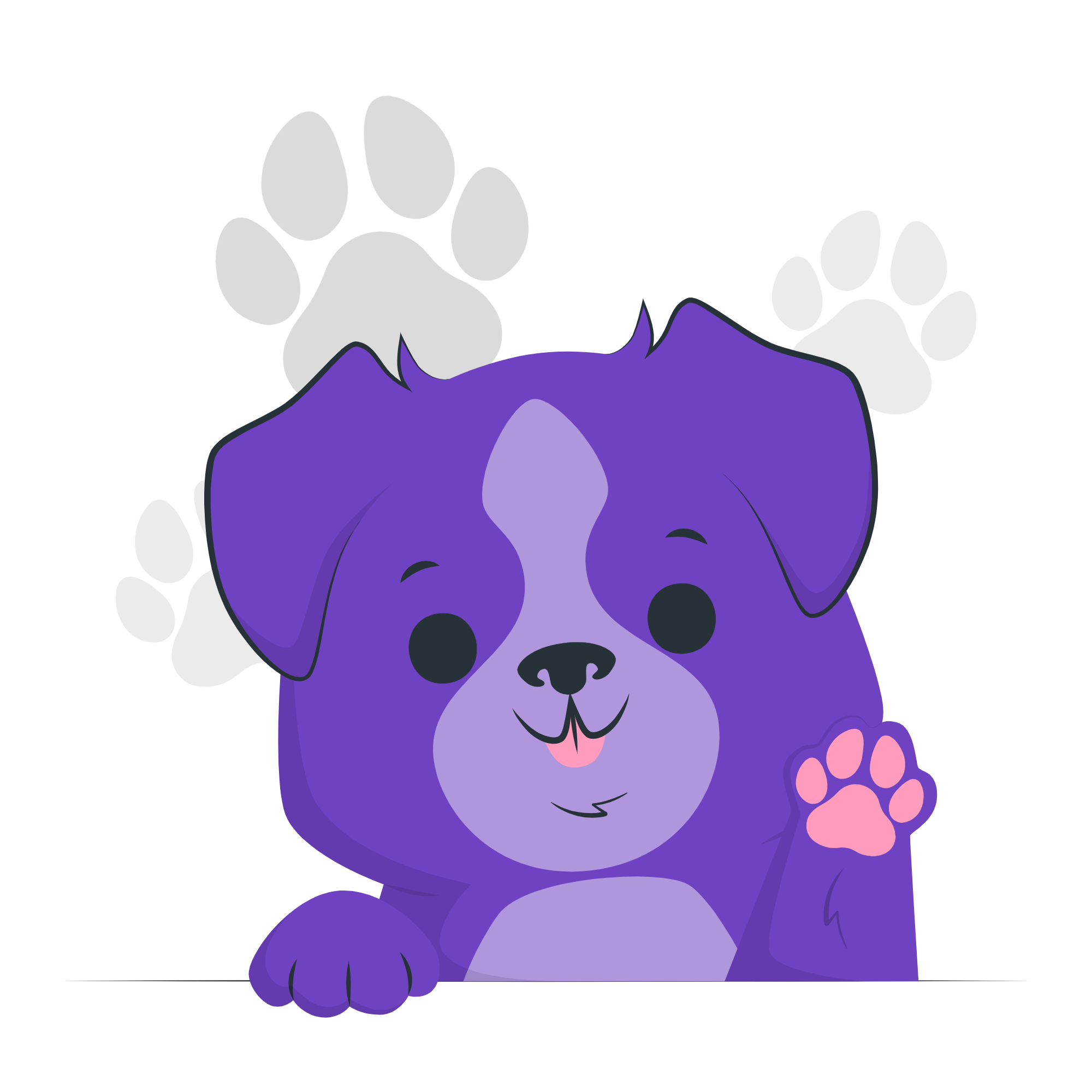 Dog Paw Image